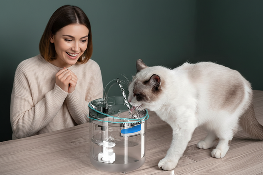 Fuente Bebedero Automática 2L para Mascotas con Filtro y 3 Modos de Flujo